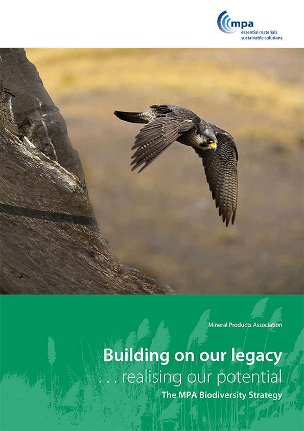 The updated strategy sets out eight actions to enhance biodiversity