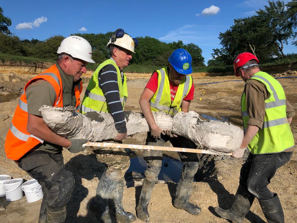 Members of the archeological team lifting a mammoth tusk found at the quarry site. Image: DigVentures