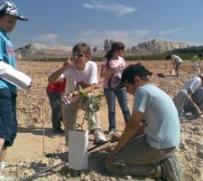 children planting trees in Alicante with Cemex