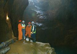 Four mend standing in mine shaft