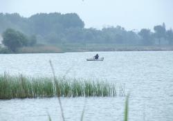 man rowing boat in Chipintsi lake